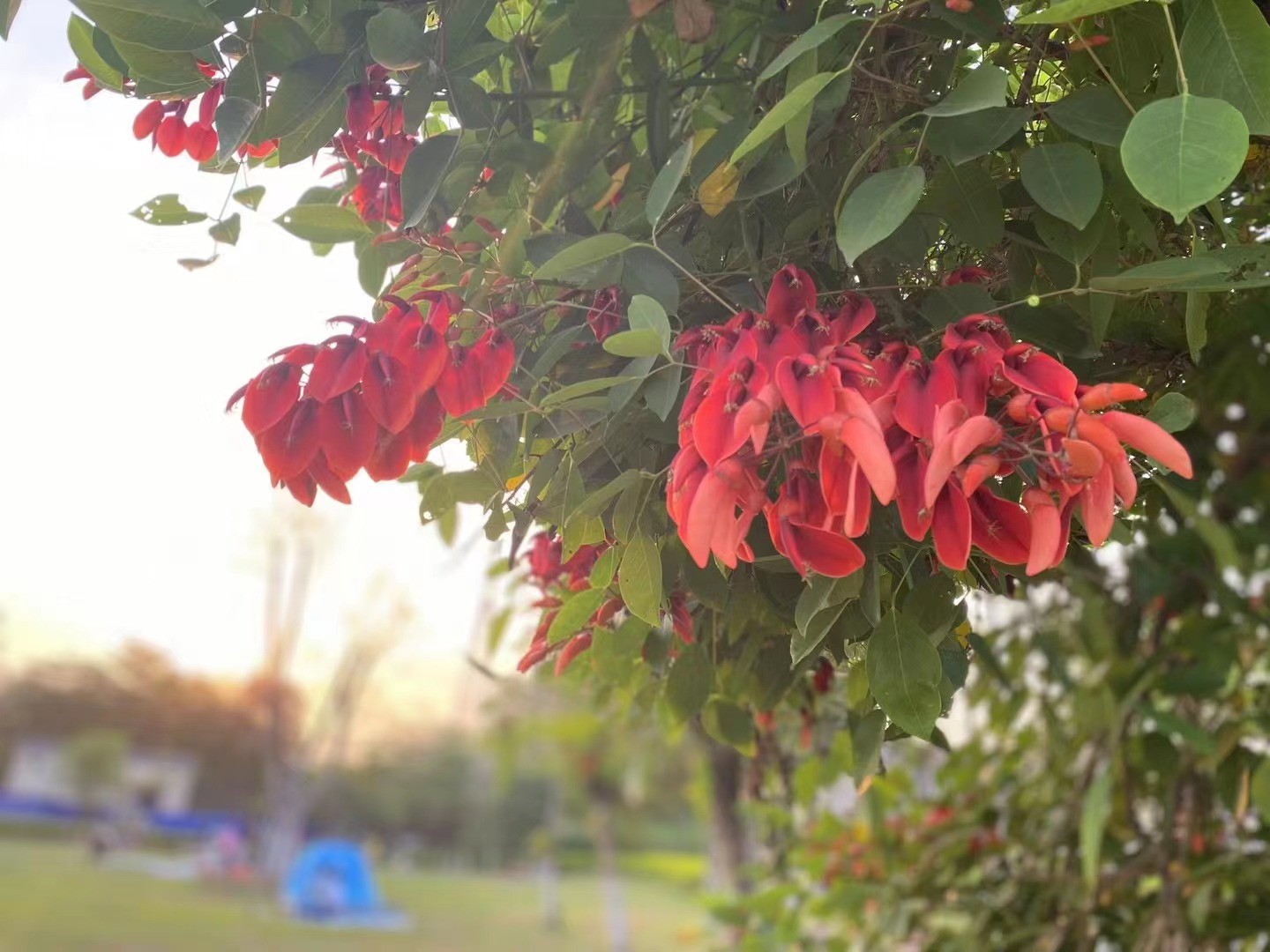 April, Means the spring is coming!